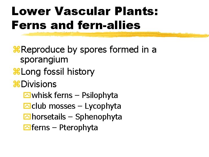 Lower Vascular Plants: Ferns and fern-allies z. Reproduce by spores formed in a sporangium Lower Vascular Plants: Ferns and fern-allies z. Reproduce by spores formed in a sporangium
