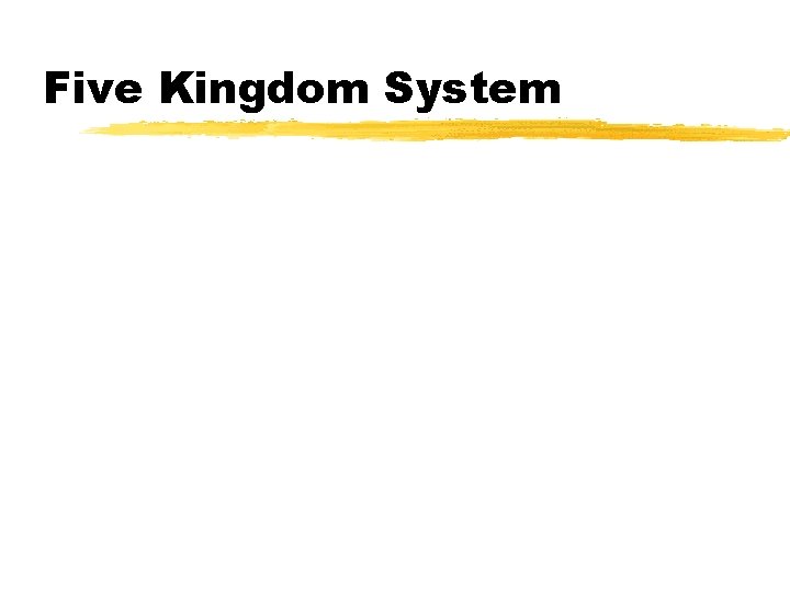 Five Kingdom System Five Kingdom System