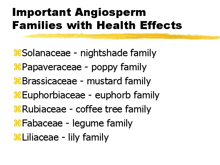 Important Angiosperm Families with Health Effects z. Solanaceae - nightshade family z. Papaveraceae - Important Angiosperm Families with Health Effects z. Solanaceae - nightshade family z. Papaveraceae -