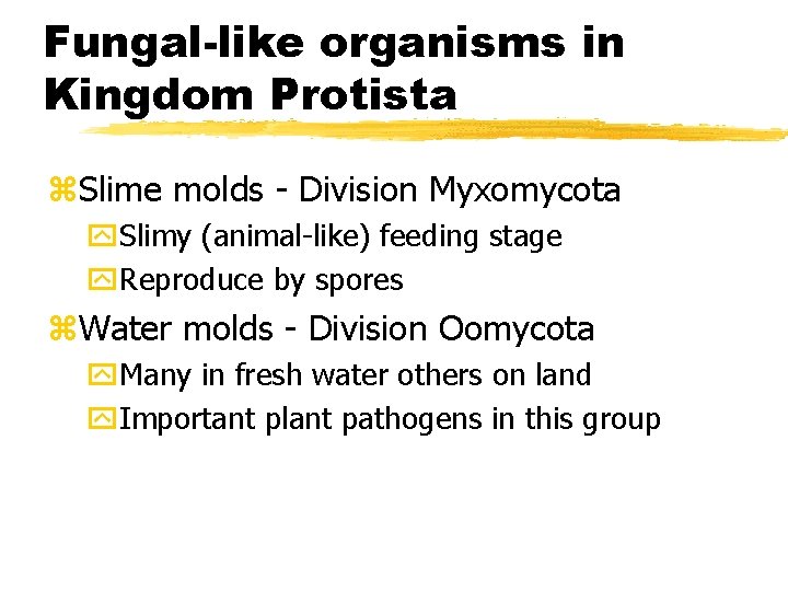 Fungal-like organisms in Kingdom Protista z. Slime molds - Division Myxomycota y. Slimy (animal-like) Fungal-like organisms in Kingdom Protista z. Slime molds - Division Myxomycota y. Slimy (animal-like)