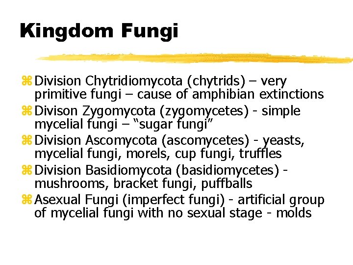 Kingdom Fungi z Division Chytridiomycota (chytrids) – very primitive fungi – cause of amphibian Kingdom Fungi z Division Chytridiomycota (chytrids) – very primitive fungi – cause of amphibian