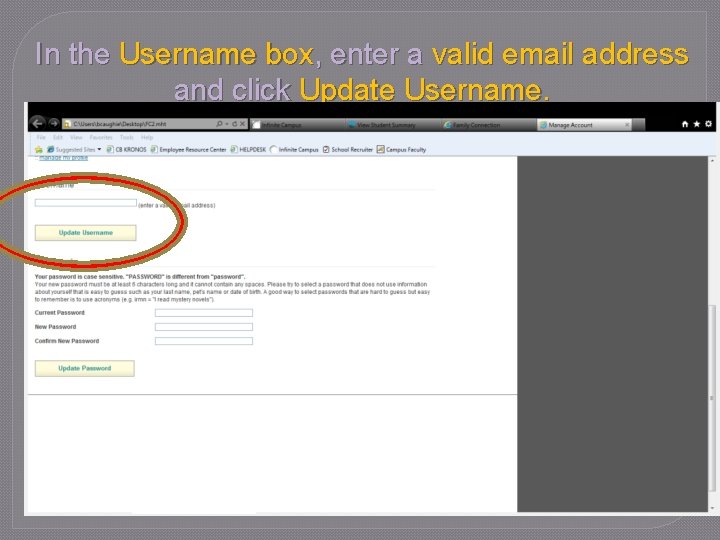 In the Username box, enter a valid email address and click Update Username. 