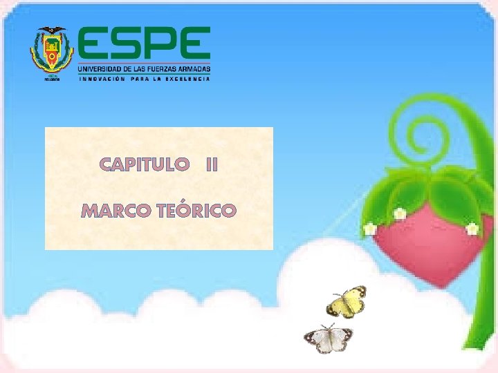 CAPITULO II MARCO TEÓRICO 