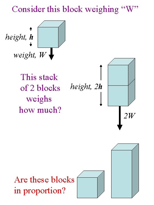 Consider this block weighing “W” height, h weight, W This stack of 2 blocks