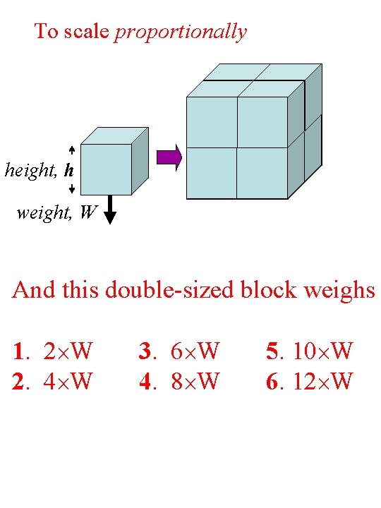 To scale proportionally height, h weight, W And this double-sized block weighs 1. 2