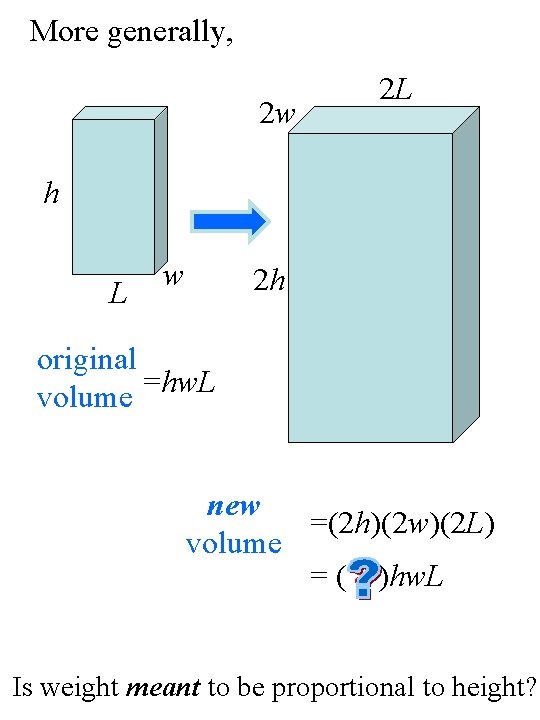 More generally, 2 L 2 w h L w 2 h original =hw. L