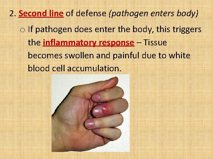 2. Second line of defense (pathogen enters body) o If pathogen does enter the