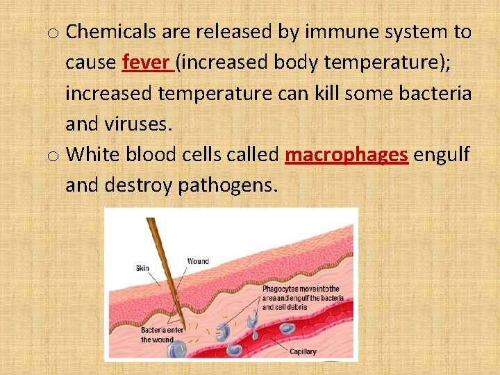 o Chemicals are released by immune system to cause fever (increased body temperature); increased