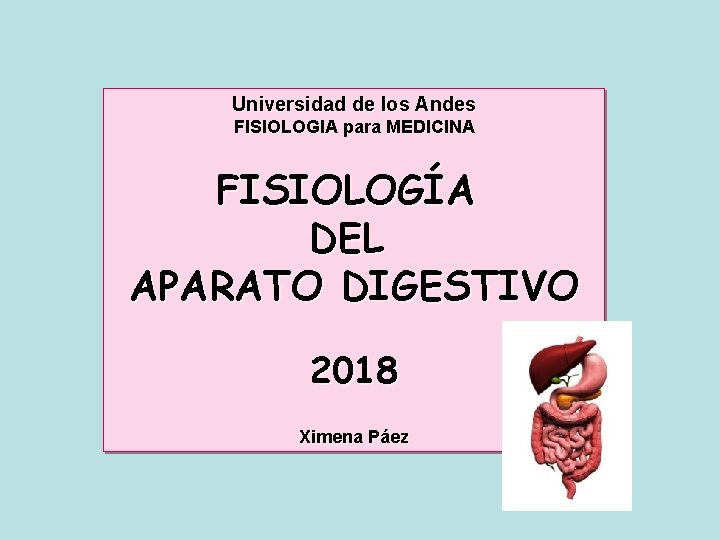 Universidad de los Andes FISIOLOGIA para MEDICINA FISIOLOGÍA DEL APARATO DIGESTIVO 2018 Ximena Páez