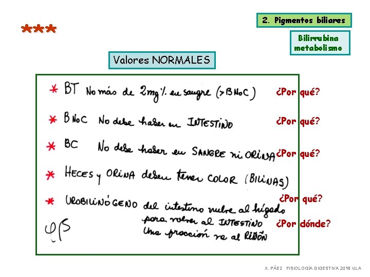 2. Pigmentos biliares *** Valores NORMALES Bilirrubina metabolismo ¿Por qué? ¿Por dónde? X. PÁEZ