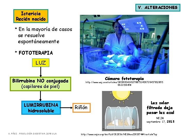 V. ALTERACIONES Ictericia Recién nacido * En la mayoría de casos se resuelve espontáneamente V. ALTERACIONES Ictericia Recién nacido * En la mayoría de casos se resuelve espontáneamente