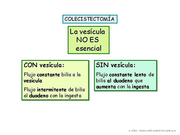 COLECISTECTOMÍA La vesícula NO ES esencial CON vesícula: SIN vesícula: Flujo constante bilis a COLECISTECTOMÍA La vesícula NO ES esencial CON vesícula: SIN vesícula: Flujo constante bilis a