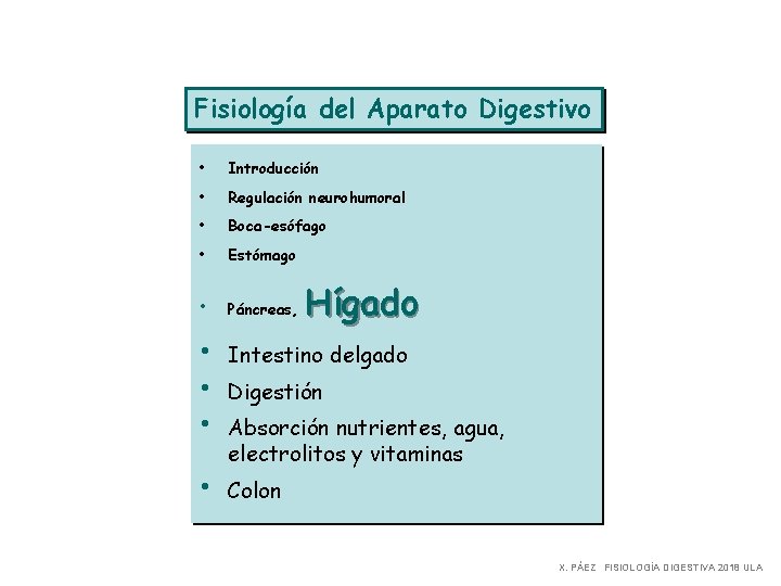 Fisiología del Aparato Digestivo • Introducción • Regulación neurohumoral • Boca-esófago • Estómago • Fisiología del Aparato Digestivo • Introducción • Regulación neurohumoral • Boca-esófago • Estómago •