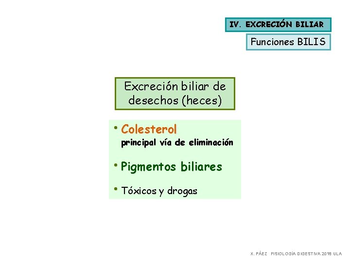 IV. EXCRECIÓN BILIAR Funciones BILIS Excreción biliar de desechos (heces) • Colesterol principal vía