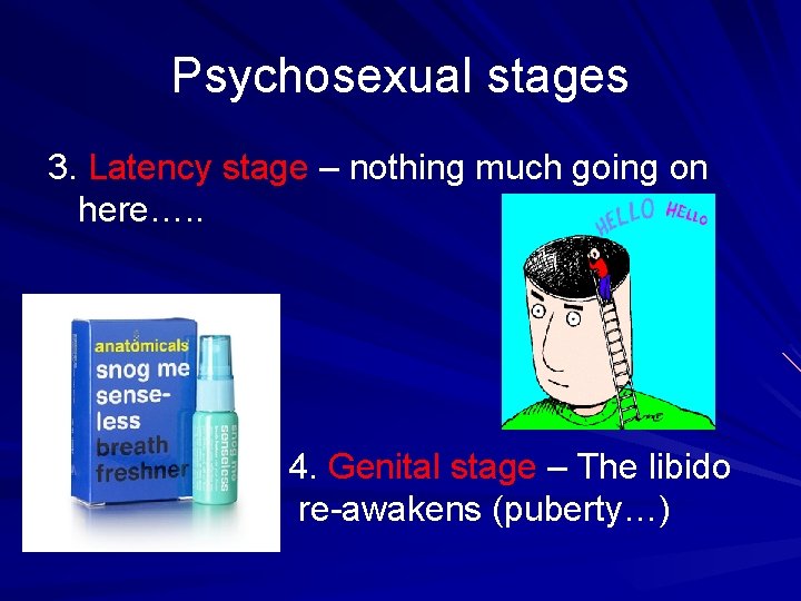 Psychosexual stages 3. Latency stage – nothing much going on here…. . 4. Genital