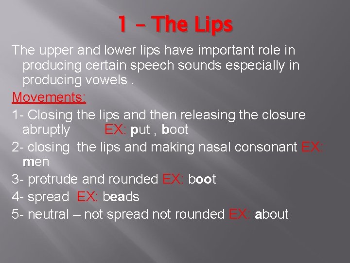 1 – The Lips The upper and lower lips have important role in producing