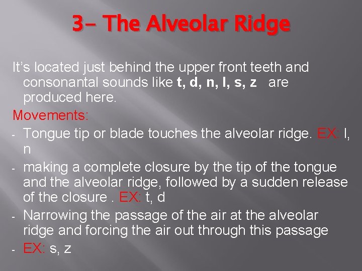 3 - The Alveolar Ridge It’s located just behind the upper front teeth and