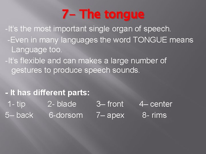 7 - The tongue -It’s the most important single organ of speech. -Even in