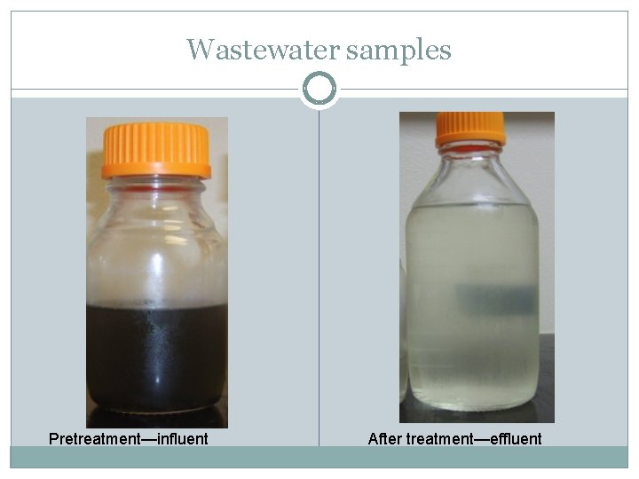 Wastewater samples Pretreatment—influent After treatment—effluent 