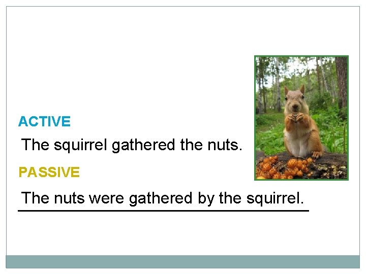 10 -1, 10 -2 LET’S PRACTICE ACTIVE The squirrel gathered the nuts. PASSIVE The