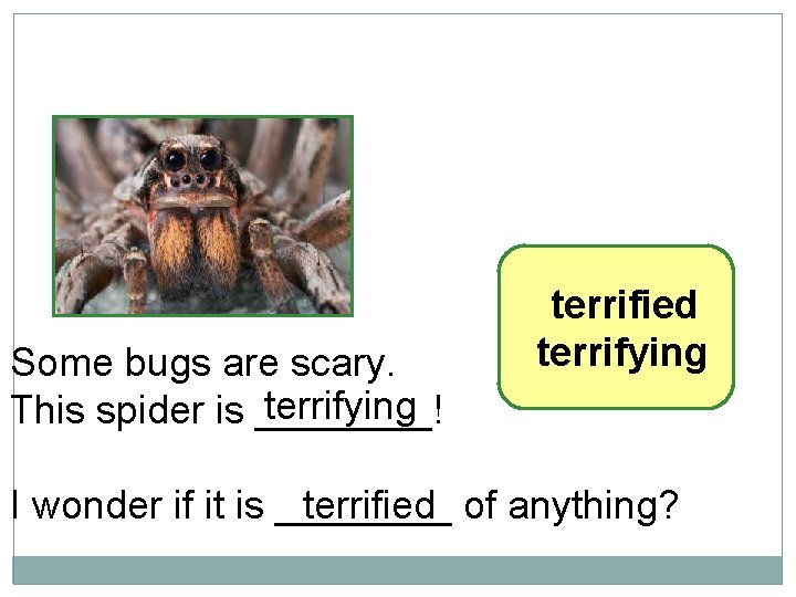 10 -7 LET’S PRACTICE Some bugs are scary. terrifying This spider is ____! terrified