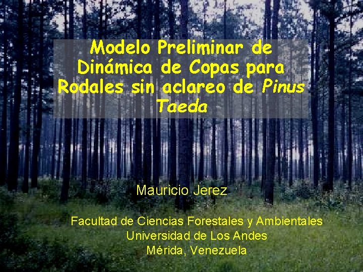 Modelo Preliminar de Dinámica de Copas para Rodales sin aclareo de Pinus Taeda Mauricio