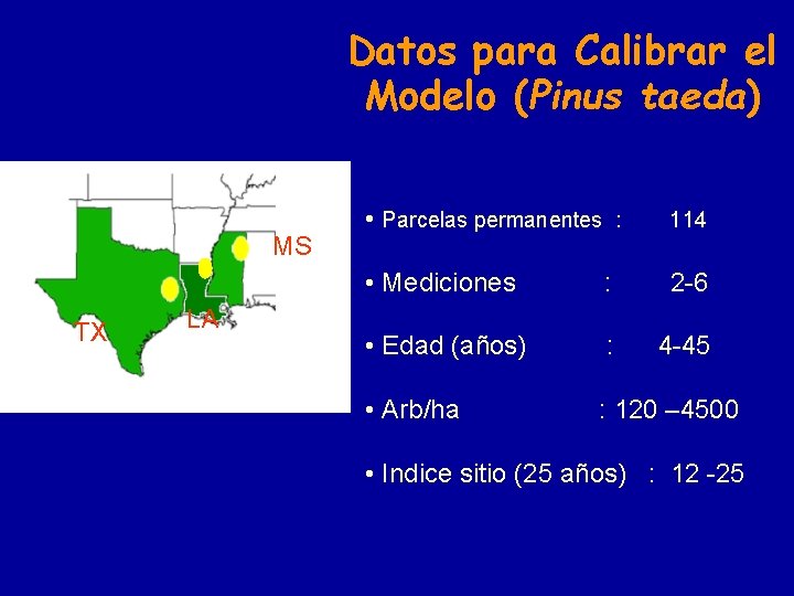 Datos para Calibrar el Modelo (Pinus taeda) MS TX LA • Parcelas permanentes :