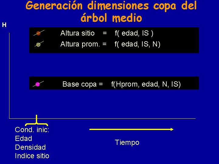 H Generación dimensiones copa del árbol medio Altura sitio = Altura prom. = Base