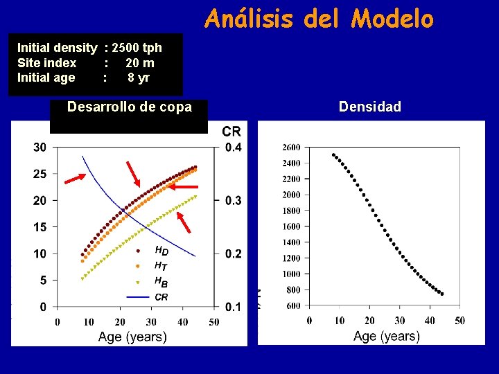 Análisis del Modelo Initial density : 2500 tph Site index : 20 m Initial