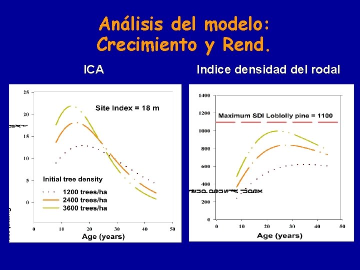 Análisis del modelo: Crecimiento y Rend. ICA Indice densidad del rodal 