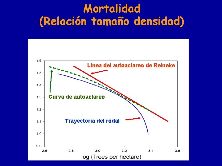 Mortalidad (Relación tamaño densidad) Línea del autoaclareo de Reineke Curva de autoaclareo Trayectoria del