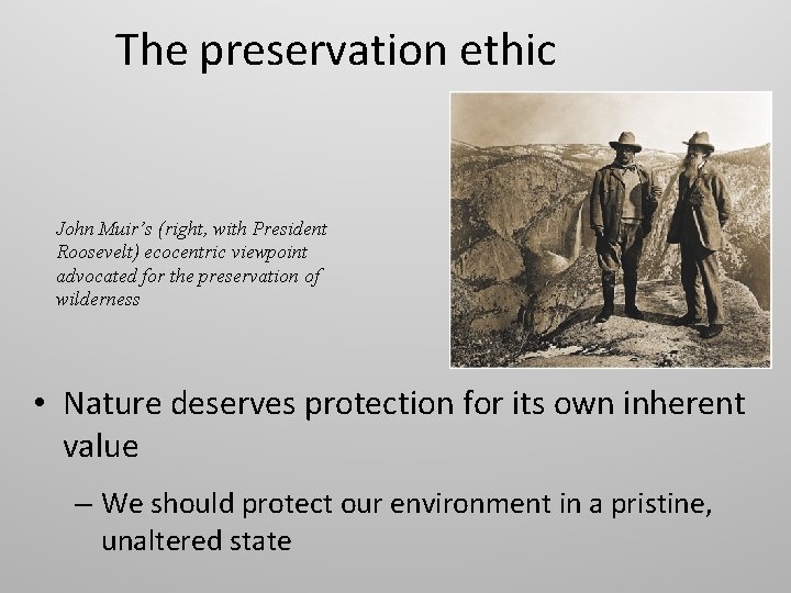 The preservation ethic John Muir’s (right, with President Roosevelt) ecocentric viewpoint advocated for the