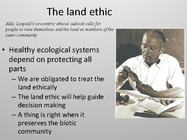 The land ethic Aldo Leopold’s ecocentric ethical outlook calls for people to view themselves