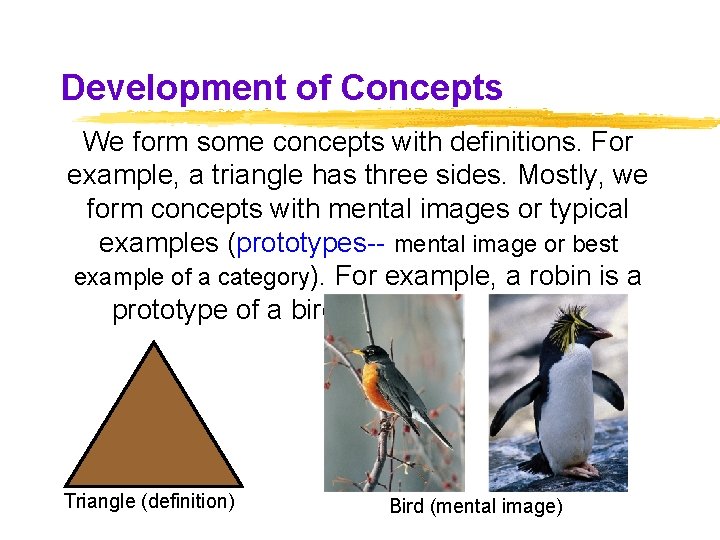 Development of Concepts We form some concepts with definitions. For example, a triangle has Development of Concepts We form some concepts with definitions. For example, a triangle has