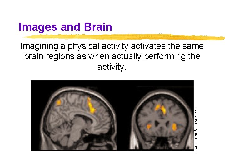 Images and Brain Imagining a physical activity activates the same brain regions as when Images and Brain Imagining a physical activity activates the same brain regions as when