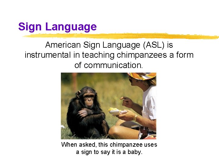 Sign Language American Sign Language (ASL) is instrumental in teaching chimpanzees a form of Sign Language American Sign Language (ASL) is instrumental in teaching chimpanzees a form of