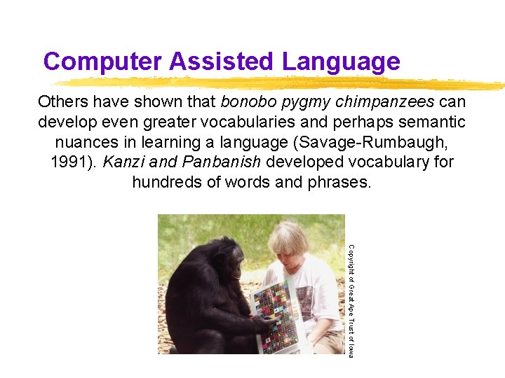 Computer Assisted Language Others have shown that bonobo pygmy chimpanzees can develop even greater Computer Assisted Language Others have shown that bonobo pygmy chimpanzees can develop even greater