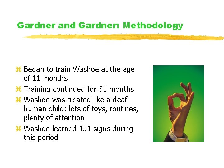 Gardner and Gardner: Methodology z Began to train Washoe at the age of 11 Gardner and Gardner: Methodology z Began to train Washoe at the age of 11