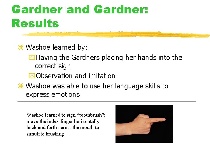 Gardner and Gardner: Results z Washoe learned by: y. Having the Gardners placing her Gardner and Gardner: Results z Washoe learned by: y. Having the Gardners placing her
