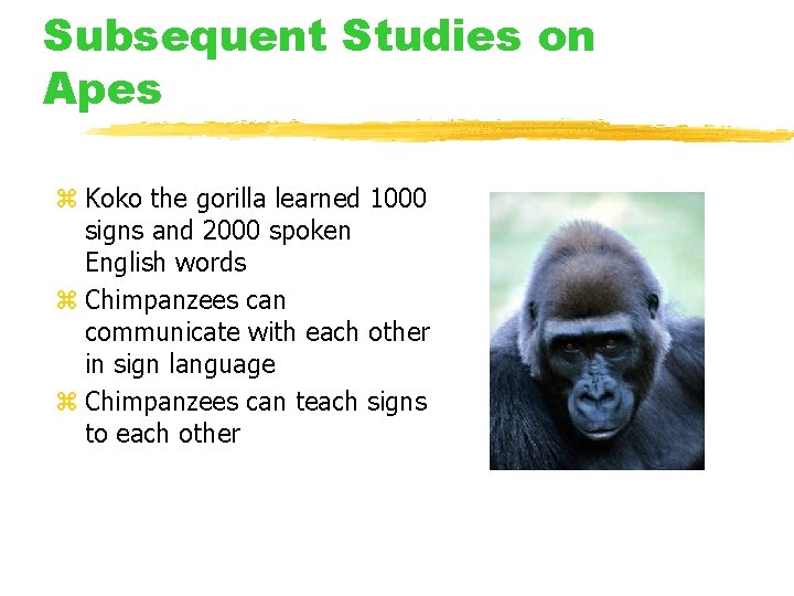 Subsequent Studies on Apes z Koko the gorilla learned 1000 signs and 2000 spoken Subsequent Studies on Apes z Koko the gorilla learned 1000 signs and 2000 spoken