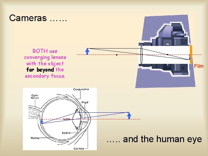 Cameras …… BOTH use converging lenses with the object far beyond the secondary focus.