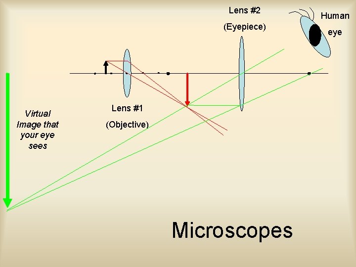 Lens #2 (Eyepiece) Virtual Image that your eye sees Lens #1 (Objective) Microscopes Human