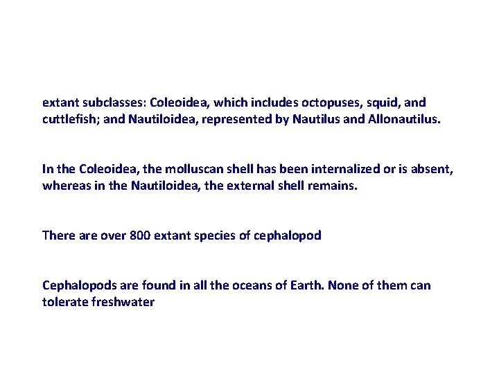 extant subclasses: Coleoidea, which includes octopuses, squid, and cuttlefish; and Nautiloidea, represented by Nautilus