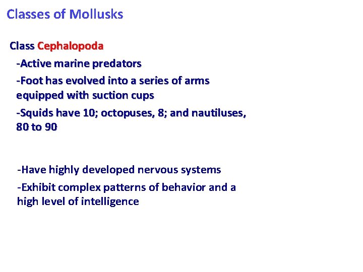 Classes of Mollusks Class Cephalopoda -Active marine predators -Foot has evolved into a series