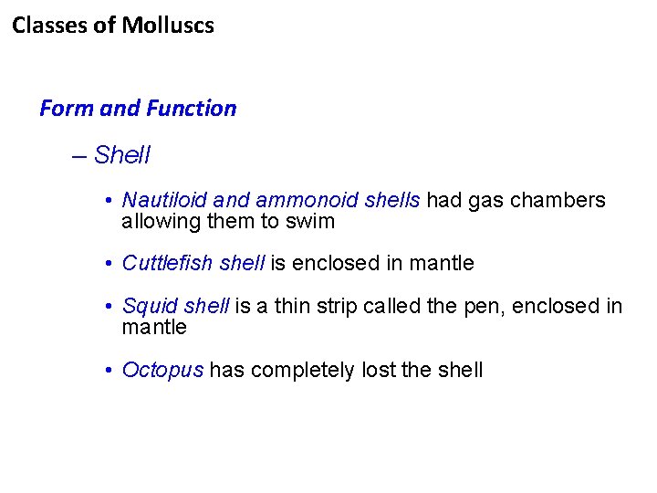 Classes of Molluscs Form and Function – Shell • Nautiloid and ammonoid shells had