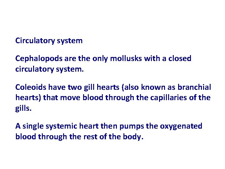 Circulatory system Cephalopods are the only mollusks with a closed circulatory system. Coleoids have