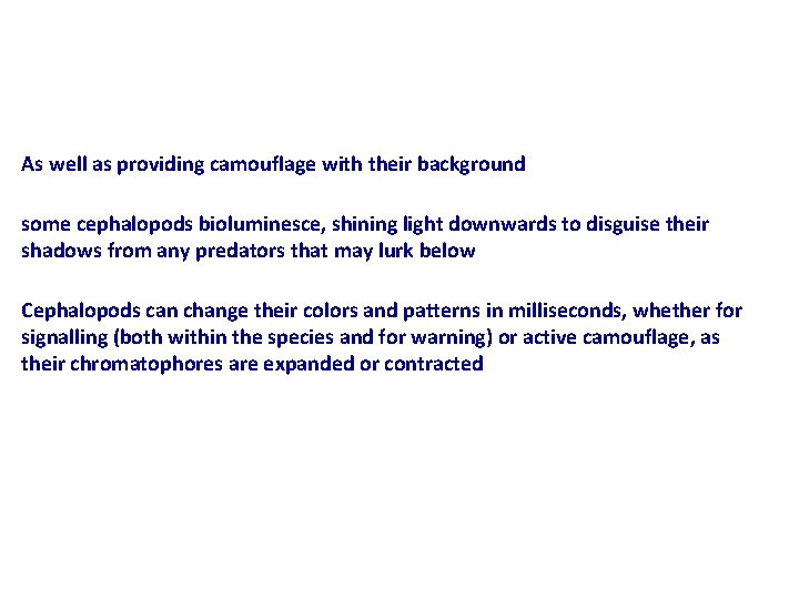 As well as providing camouflage with their background some cephalopods bioluminesce, shining light downwards