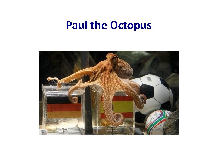 Paul the Octopus 