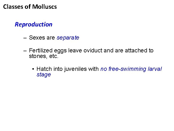 Classes of Molluscs Reproduction – Sexes are separate – Fertilized eggs leave oviduct and