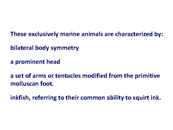 These exclusively marine animals are characterized by: bilateral body symmetry a prominent head a